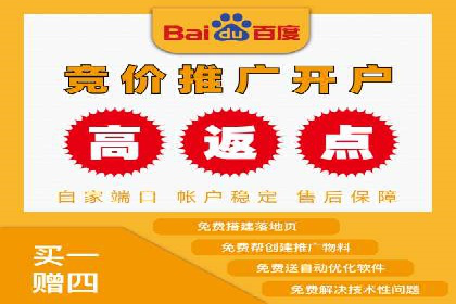 SEM竞价托管实战案例解析